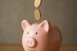 Construindo fundo emergência financeira