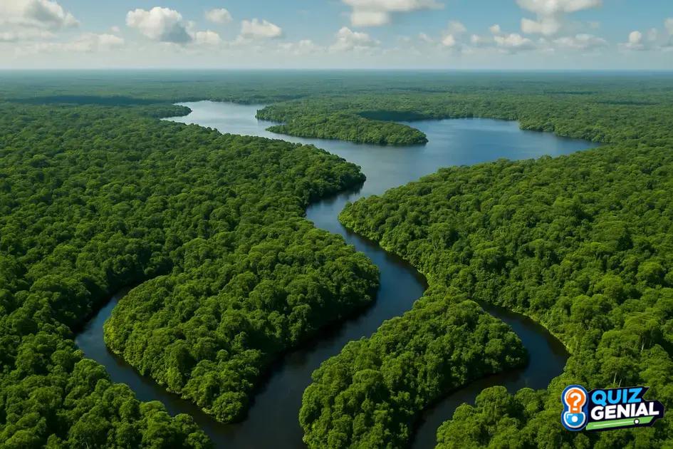 O Pulmão Azul: A Importância Estratégica dos Recursos Hídricos da Amazônia para o Mundo